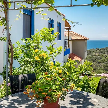 Happy Holiday home